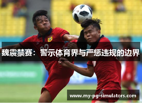 魏震禁赛：警示体育界与严惩违规的边界